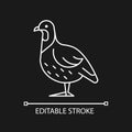 Partridge linear icon for dark theme Royalty Free Stock Photo