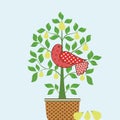 Partridge In A Pear Tree With Basket Royalty Free Stock Photo