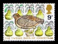 A Partridge in a Pear Tree, Christmas 1977 - TheTwelve days of Christmas serie, circa 1977 Royalty Free Stock Photo