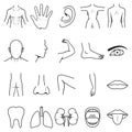 parts of the body. Vector illustration decorative design Royalty Free Stock Photo