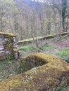 A parts of a castle ruin in the forest Royalty Free Stock Photo