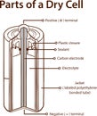 Parts of a Dry cell battery. stock illustration Battery, Inside Of, Diagram, Dry, Cross Section