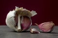 Onion low key studio still life