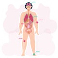 Diagram of human anatomy vector illustration. Image of human organs. Name of parts of the body Royalty Free Stock Photo