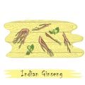 Parts of Indian Ginseng Herb on the Cutting Board