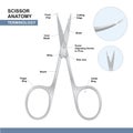 Parts of Nail Cutting Shears. Terminology of Scissors. Manicure and Pedicure Care Tools. Vector Royalty Free Stock Photo