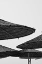 Parts of straw beach umbrellas