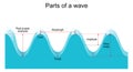 Parts of a wave. wavelength and amplitude