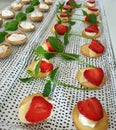 Party appetizers - salty biscuits with cheese, strawberries, shrimp mousse Royalty Free Stock Photo