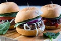 Party beef burgers sliders share Royalty Free Stock Photo