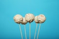 Party cakepop sweet candy, confectionery on stick Royalty Free Stock Photo