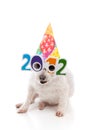 Party Celebrate New Year 2012 Royalty Free Stock Photo