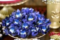 Party chocolate candies in blue packaging on defocused background