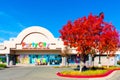 Party City retail chain store exterior. Nobody has more party for less slogan of facade. Beautiful tree stunning in fall foliage