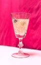 Party concept made of magnificent, deluxe crystal glass with gold sparkling cocktail in it. Garnished with chokeberries. Red