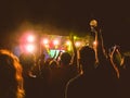 Crowd raising their hands and enjoying great festival party or concert.