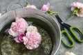 Party decorations: silver bucket with floating flowers