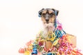 Party Dog. Jack Russell ready for carnival Royalty Free Stock Photo