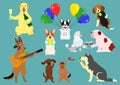 Party dogs Royalty Free Stock Photo
