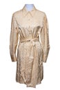Party dress isolated. Closeup of a beautiful silver gold woman girl dress on mannequin isolated on white. Clipping path. Festive Royalty Free Stock Photo