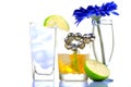 Party drinks Royalty Free Stock Photo