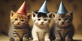 Party Kitten cats kittens wearing hats Royalty Free Stock Photo