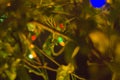 Green, Yellow, red small led  L.E.D , party lights on a tree Royalty Free Stock Photo