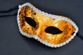 Party Mask Royalty Free Stock Photo