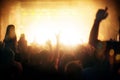 Party people attending a concert Royalty Free Stock Photo