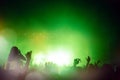 Party people attending a concert Royalty Free Stock Photo