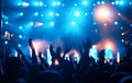 Party people enjoy concert at festival. Summer music festival Royalty Free Stock Photo