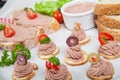 Party platter with slices of bread with home made pate, decorated with vegetables Royalty Free Stock Photo