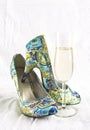 Party shoes Royalty Free Stock Photo