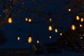 party string lights hanging on tree branches, tree outside lit up with Christmas lights Royalty Free Stock Photo