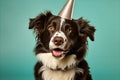 Party time adorable happy dog celebrating birthday with falling confetti in pastel background Royalty Free Stock Photo