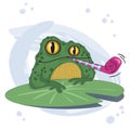 Party Toad on a Lily Pad Royalty Free Stock Photo