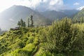 Parvati valley scenery - India Royalty Free Stock Photo