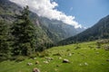 Parvati Vally, Himachal Pradesh - India Royalty Free Stock Photo