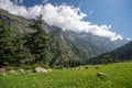 Parvati Vally, Himachal Pradesh - India Royalty Free Stock Photo