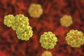 Parvovirus on colorful background