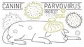 Parvovirus in dogs. First signs of parvo.