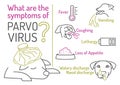 Parvovirus in dogs. Symptoms of parvo. Canine gastrointestinal contagious disease.