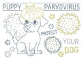 Parvovirus in puppies. First signs of dogs parvo.