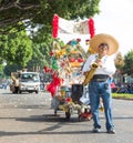 Pasadena 2014 Doo Dah Parade