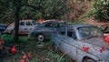 Pasanauri, Georgia - 06.10.2018: Old rusted out scrap retro cars that has been abandoned in forest woods