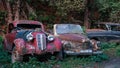 Pasanauri, Georgia - 06.10.2018: Old rusted out scrap retro cars that has been abandoned in forest woods