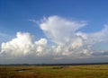 Pascagoula River basin floodplain