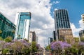 Paseo de la Reforma in Mexico City