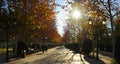 Paseo por el Parque Gasset en otoÃÂ±o, Ciudad Real, EspaÃÂ±a