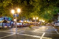 Paseo Sarmiento pedestrian street at night - Mendoza, Argentina Royalty Free Stock Photo